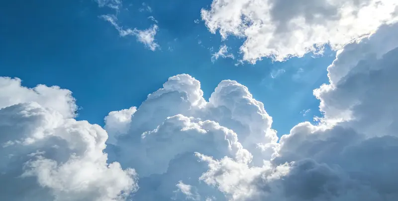 肺癌8基因突变检测（组织）图2