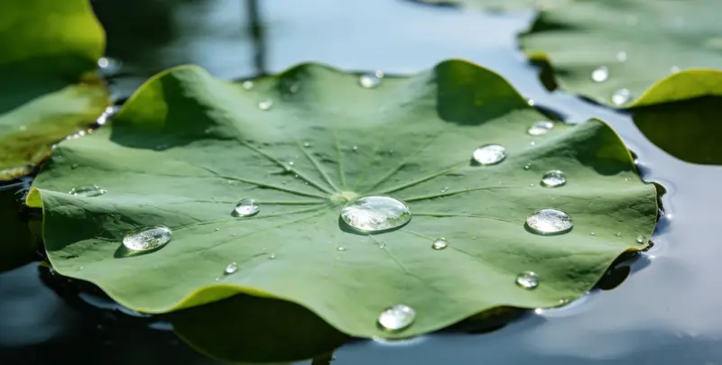 宣城乳腺癌21基因mRNA表达分析图片1